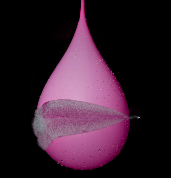 Luis Monje - Fotografía científica. Fotografía de alta velocidad de un globo atravesado por un disparo.